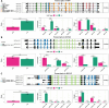 Differential Transcript Usage Analysis for the APP, KIF2A and BSCL2 GenesFor each of the selected genes