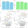 Differential Expression Analysis