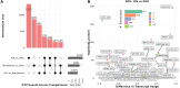 Differential Transcript Usage (DTU) Analysis Across Cell Types
