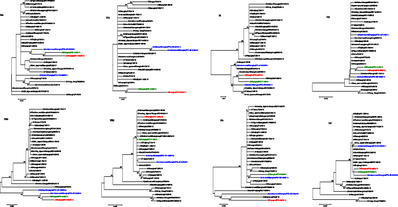 Fig. 4