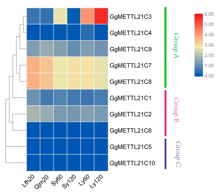 Figure 4