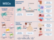 Graphical Abstract