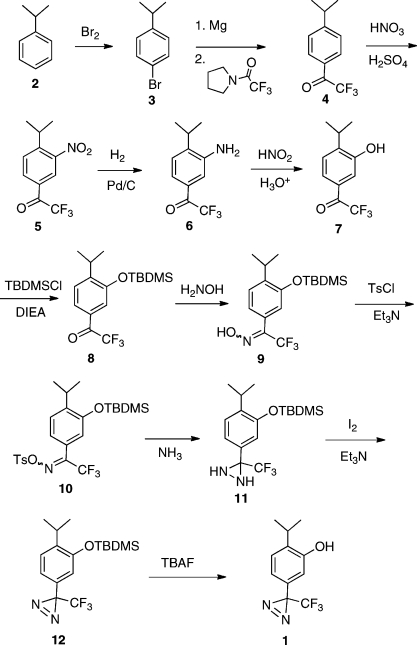 Scheme 1