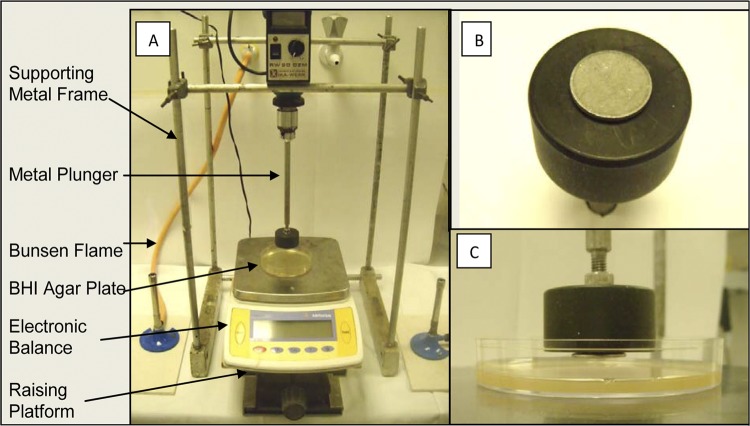 Fig 1