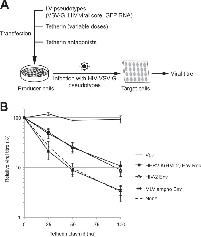 FIG 2