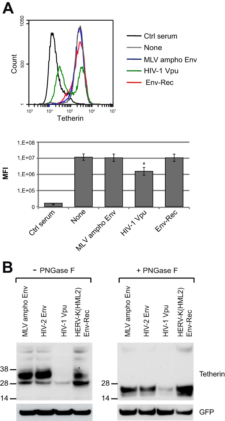 FIG 7