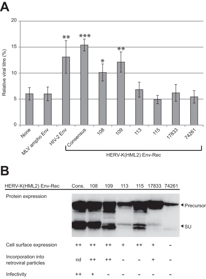 FIG 3