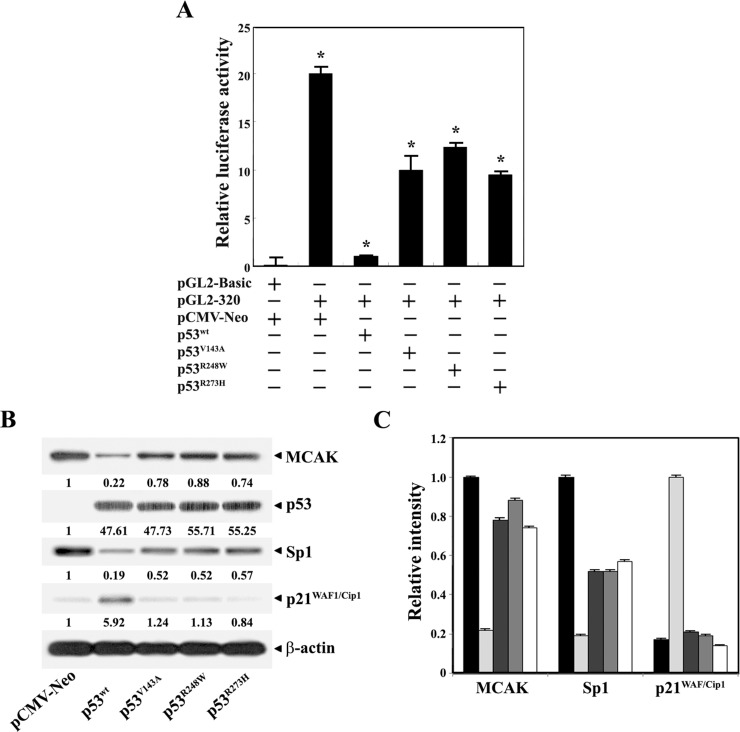 Fig 8