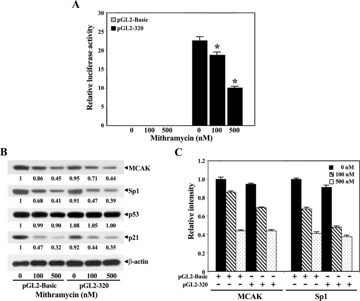 Fig 6