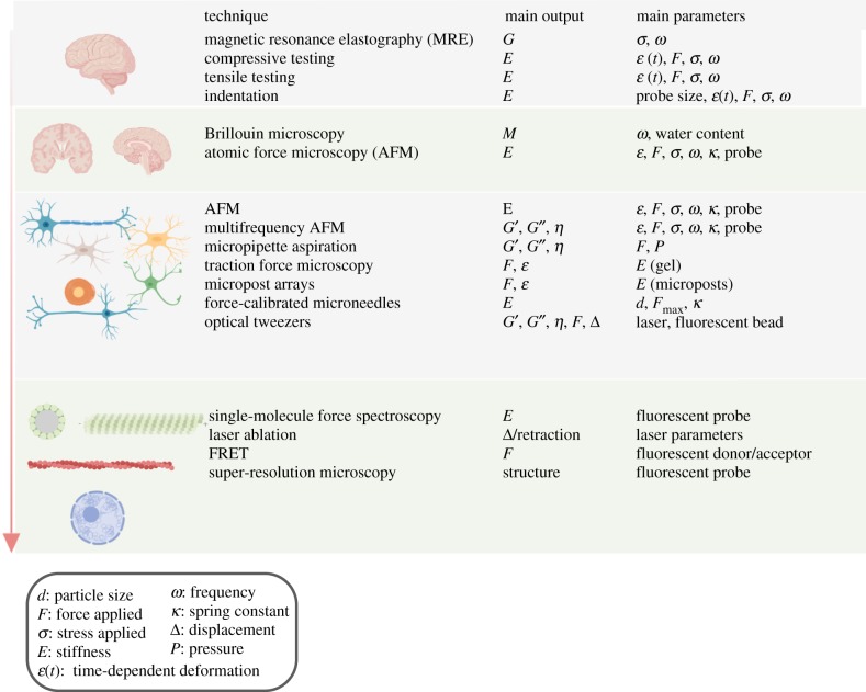 Figure 2.