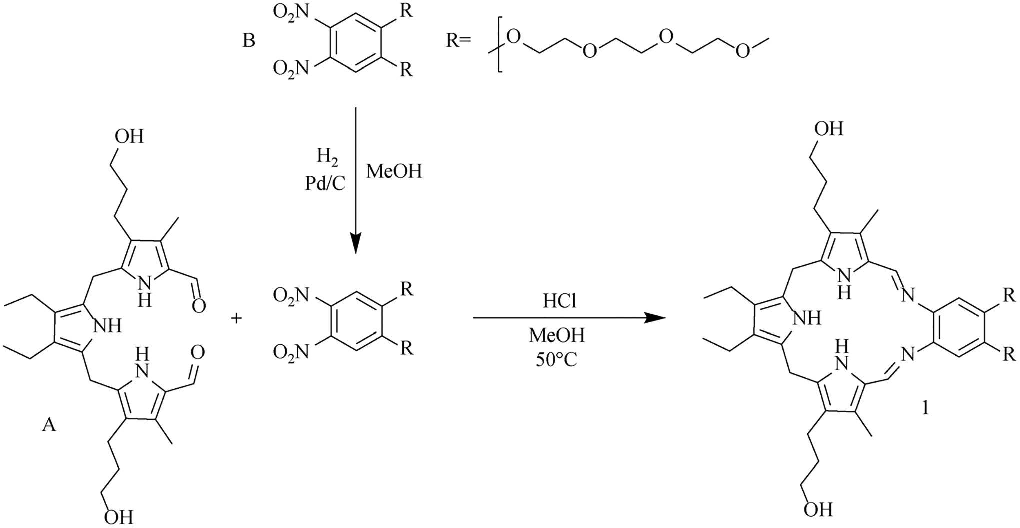 Scheme 1