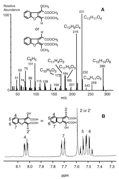 FIG. 5