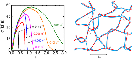 graphic file with name nihms-1013333-f0001.jpg