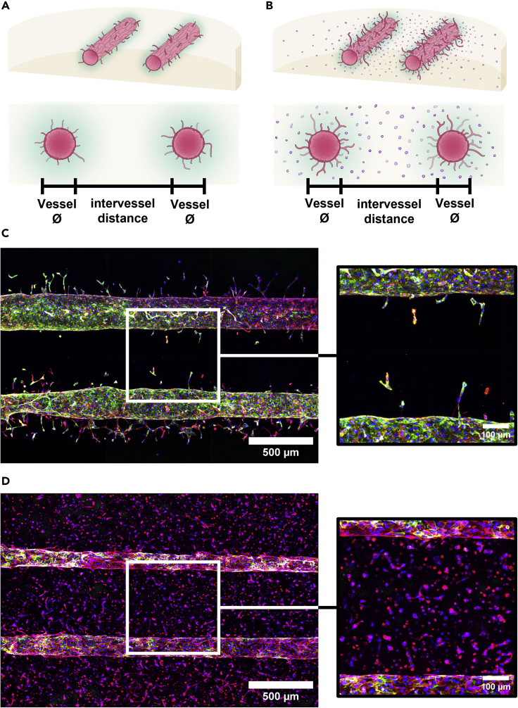 Figure 2