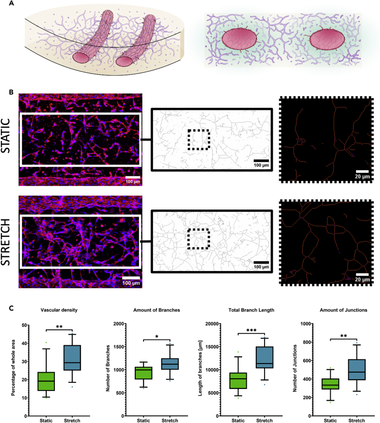 Figure 4