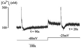 Figure 8