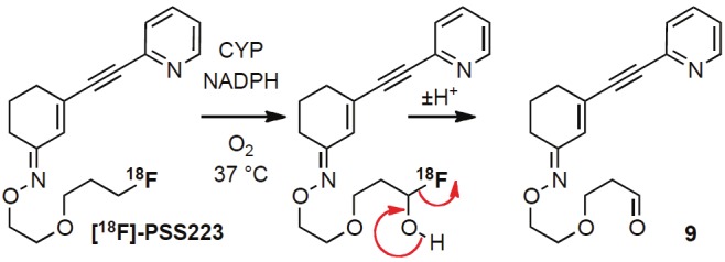 Figure 8