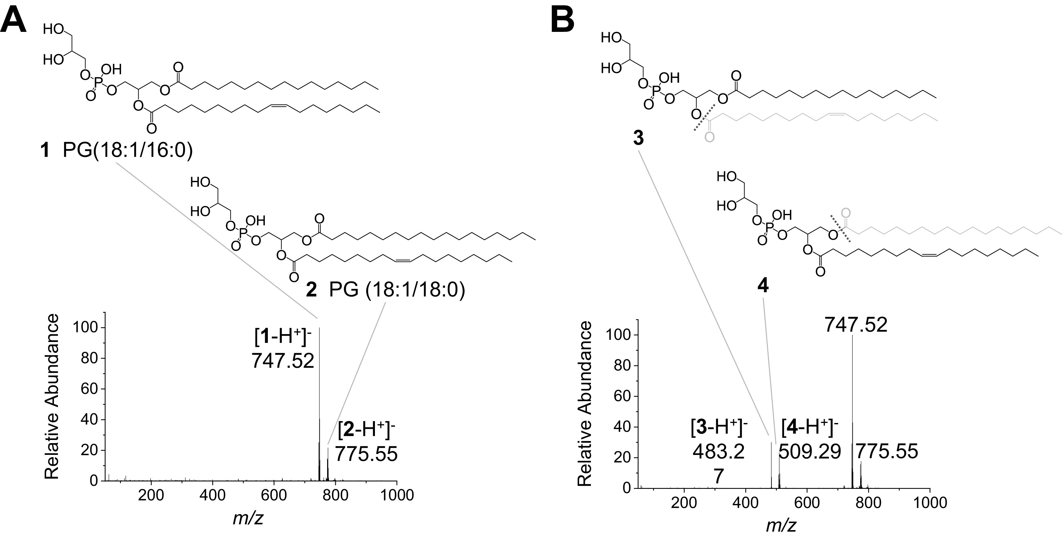 Fig. 5.