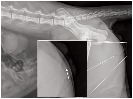Figure 8