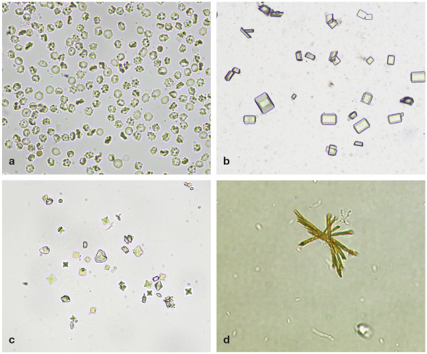 Figure 5