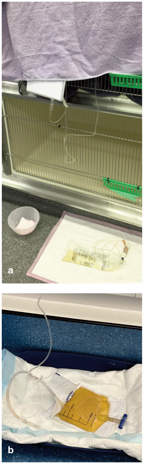Figure 29