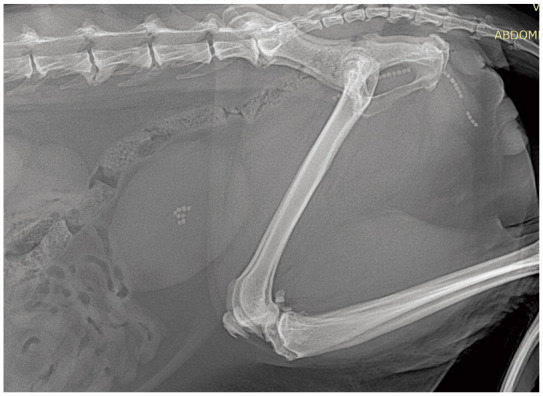 Figure 7