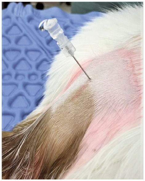 Figure 19