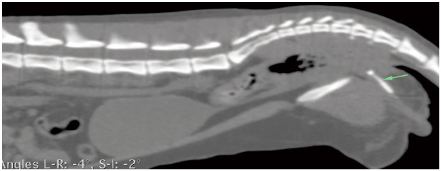 Figure 12