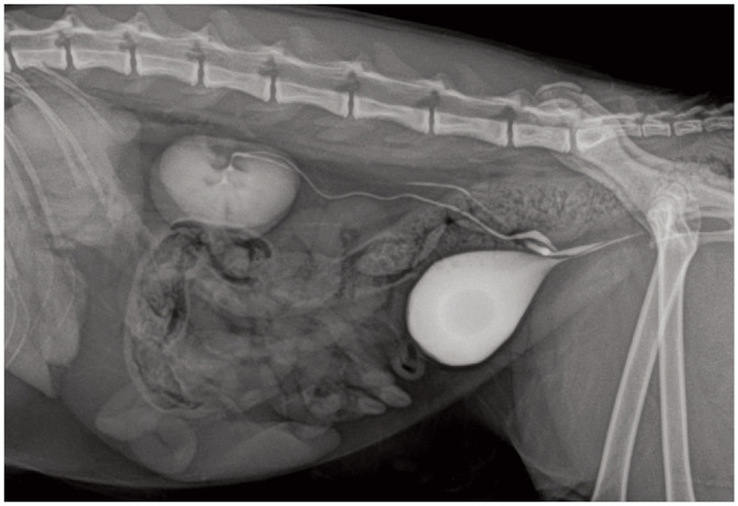 Figure 32