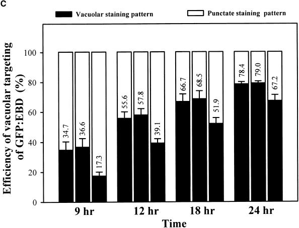 Figure 7.