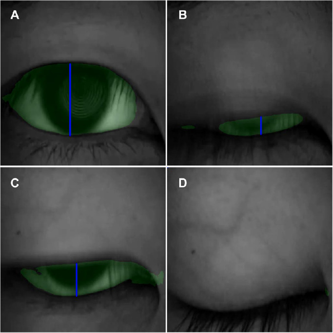 Figure 4.