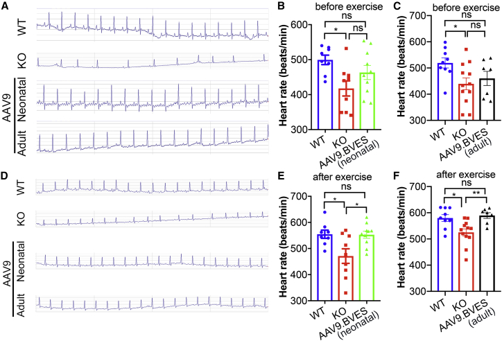 Figure 6