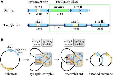 Figure 1