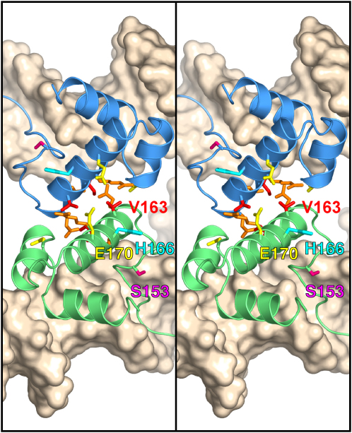 Figure 4