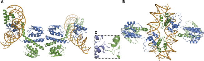 Figure 3