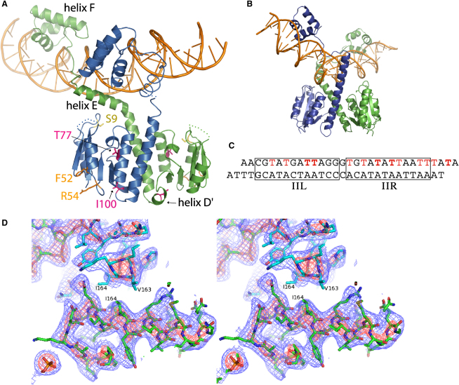 Figure 2