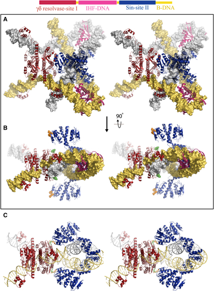 Figure 6