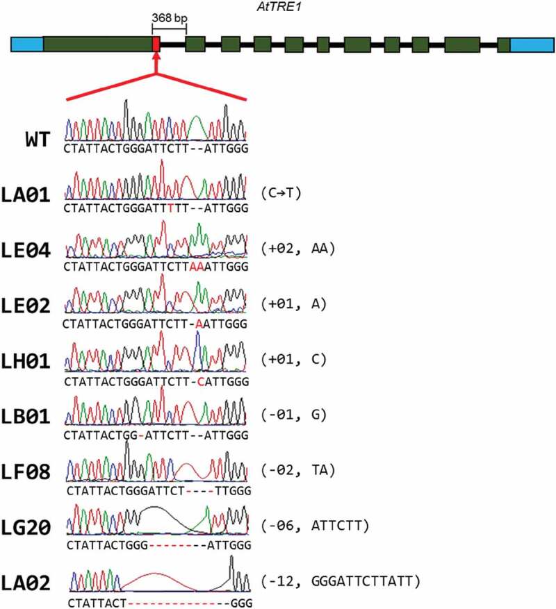 Figure 6.