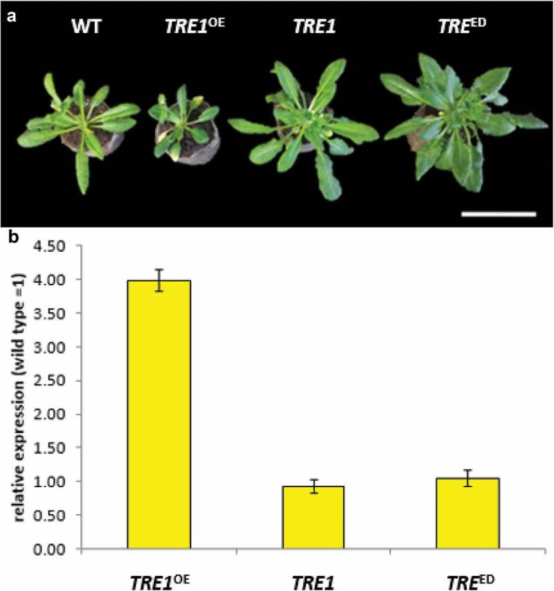 Figure 7.