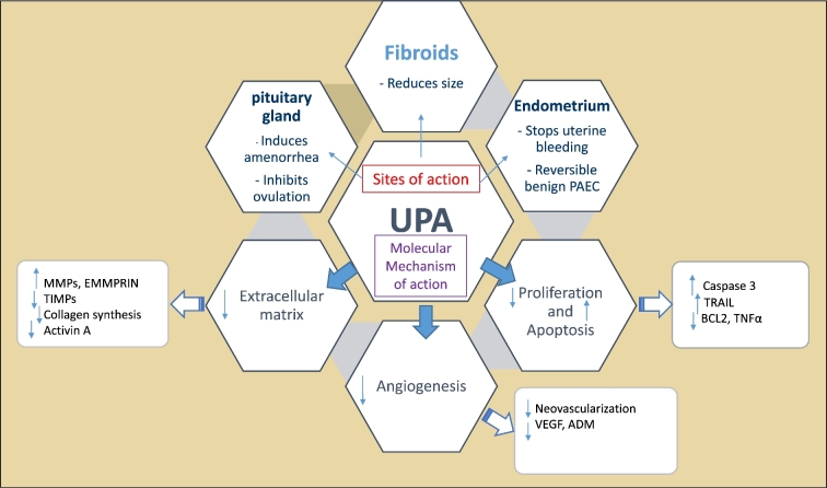 Figure 4.