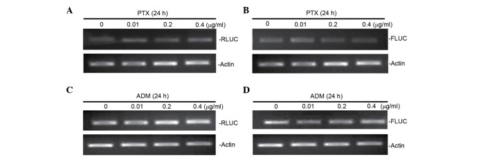 Figure 5.