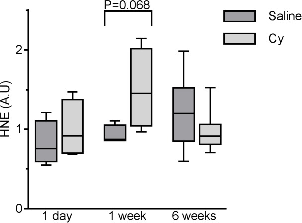 Fig 6