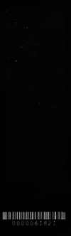 Figure S1