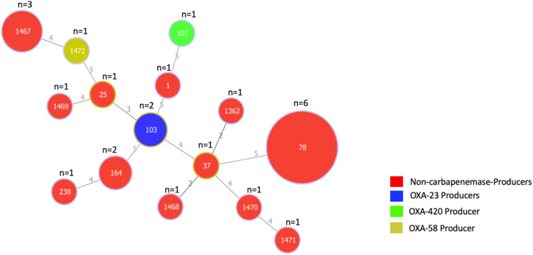 FIGURE 1