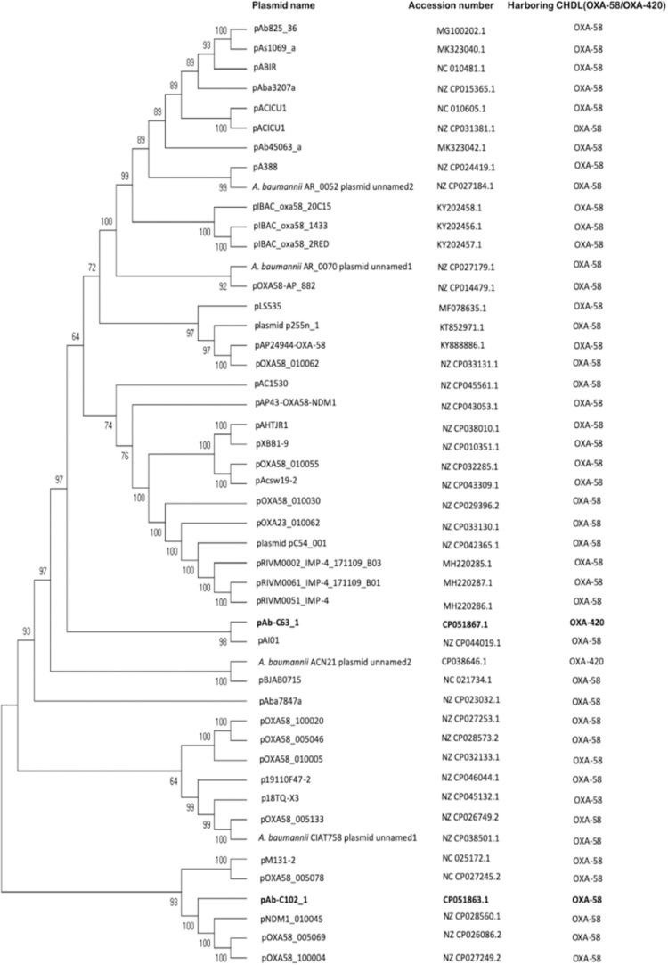 FIGURE 4