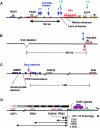 Figure  2