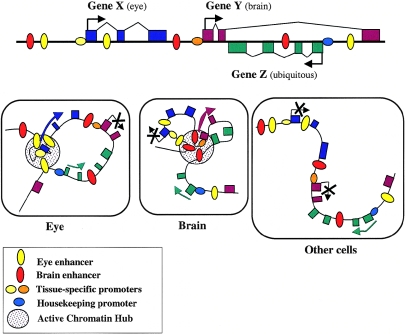 Figure  3