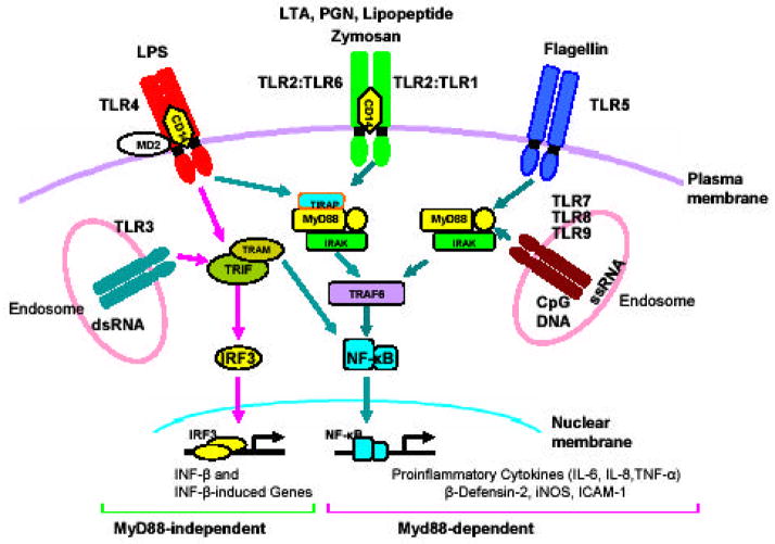 Fig. (2)