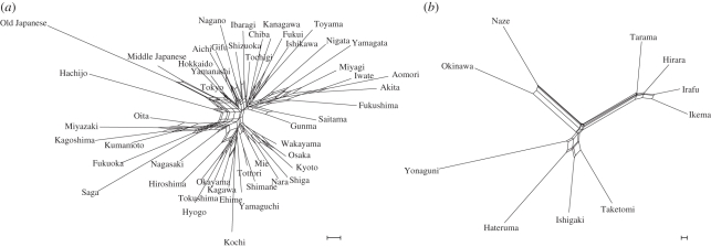 Figure 4.