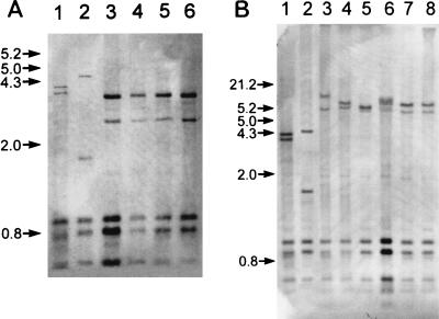 FIG. 3